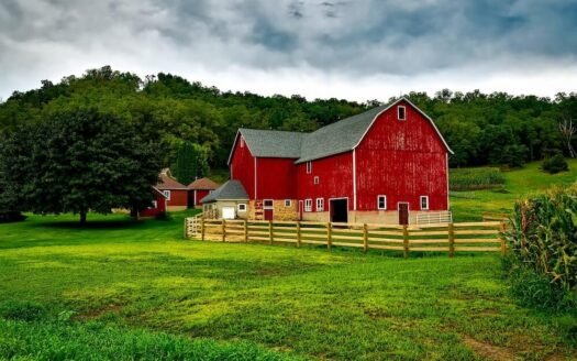 Montana View Ranch